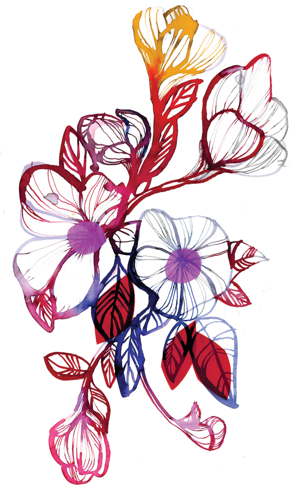 By Stina Persson From Tattly Temporary Tattoos - Watercolor Peace Flower Tattoo - Free Transparent PNG Clipart Images Download. - Transparent PNG Free Download