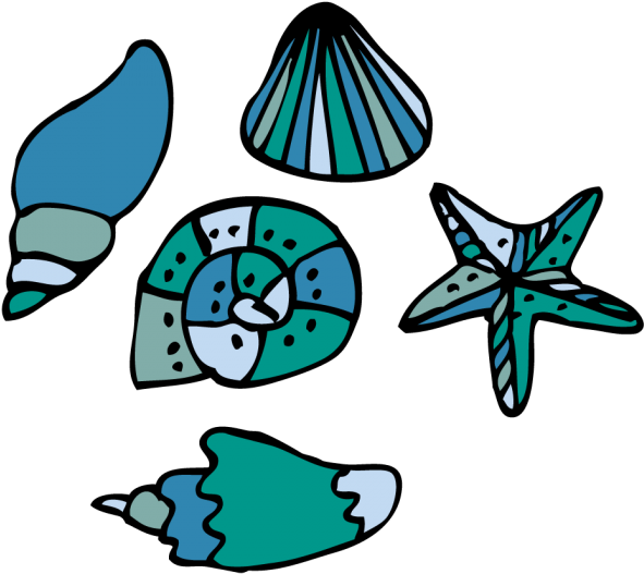 Seashell Tattoo Designs Clipartsco - Beach - Free Transparent PNG Clipart Images Download. - Transparent PNG Free Download