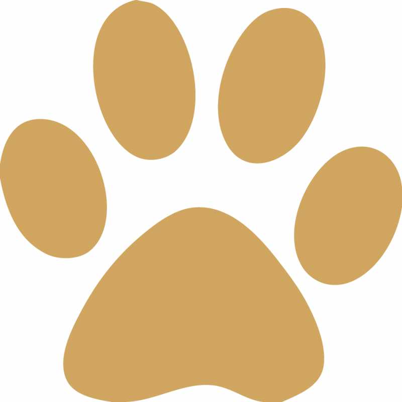 Cougar Paw Print Clip Art - Purple Paw Print Transparent Background - Free Transparent PNG Clipart Images Download. - Transparent PNG Free Download