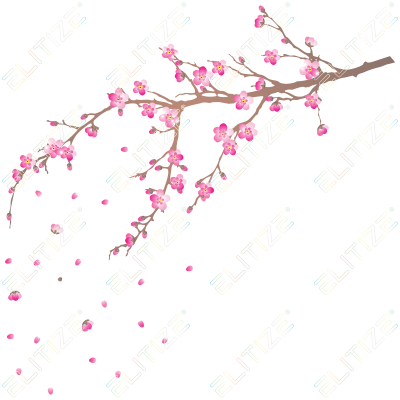 Adesivos Adesivo Decorativo Galho De Cerejeira Png - Flores De Cerejeira Png - Free Transparent PNG Clipart Images Download. - Transparent PNG Free Download