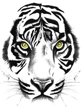 Tiger, Sumatra Tiger, Tierwelt, Tiger Tattoos Clipart - Outline Of A Tiger's Face - Free Transparent PNG Clipart Images Download. - Transparent PNG Free Download