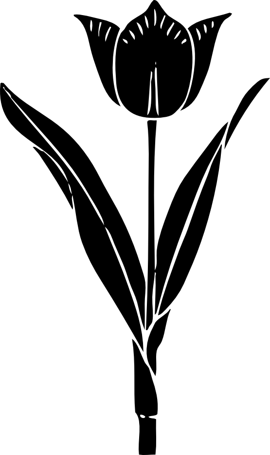 Black And White Flower Tattoos - Tulip Silhouette - Free Transparent PNG Clipart Images Download. - Transparent PNG Free Download