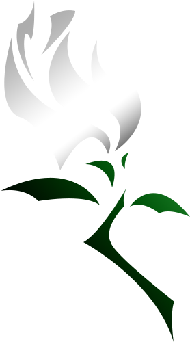 White Rose Tattoo By L Oneliness - White Rose Tattoo By L Oneliness - Free Transparent PNG Clipart Images Download. - Transparent PNG Free Download