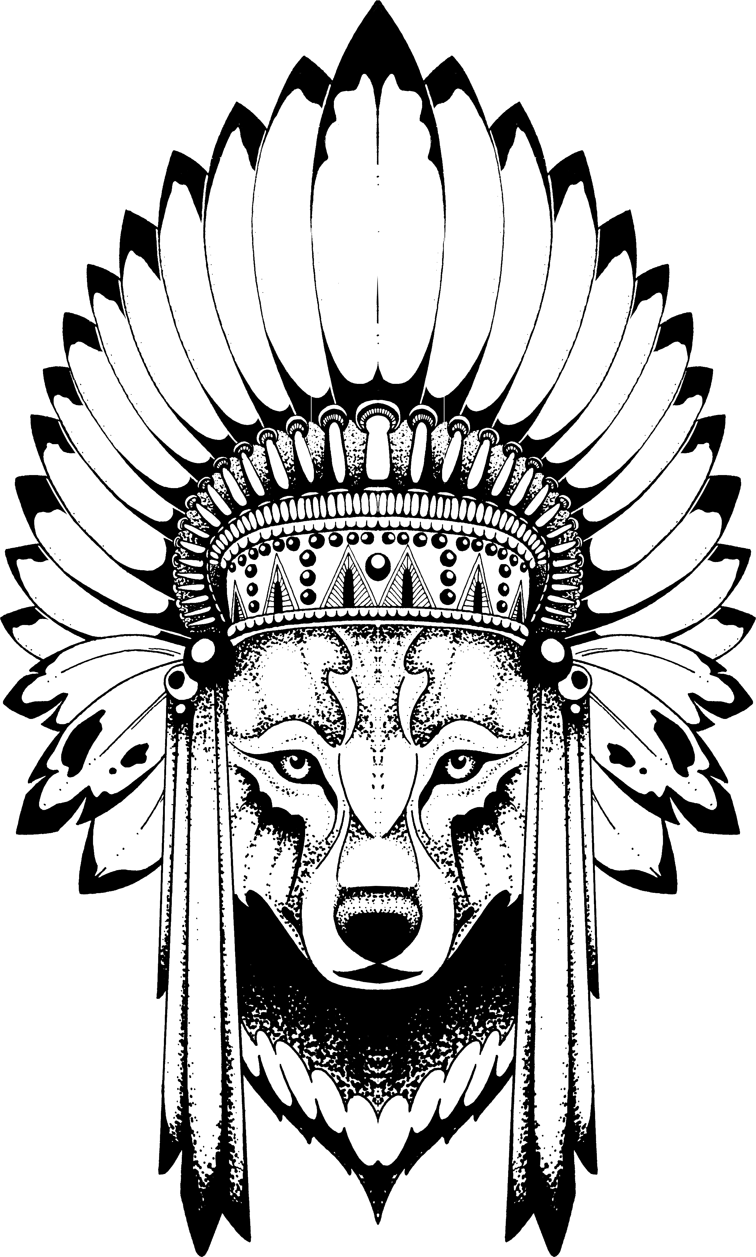 Anastasiya Avina - Wolf With Indian Headdress - Free Transparent PNG Clipart Images Download. - Transparent PNG Free Download