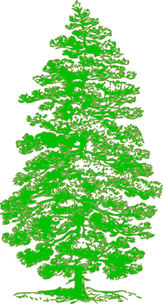 Tattoo Free Oak Tree Clip Art - Parts Of A Pine Tree - Free Transparent PNG Clipart Images Download. - Transparent PNG Free Download