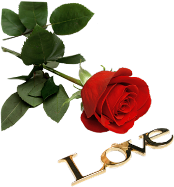 I Love You, Gifs, Tattoo Designs, Roses, Love You - Good Morning Have A Nice Day Coffee - Free Transparent PNG Clipart Images Download. - Transparent PNG Free Download