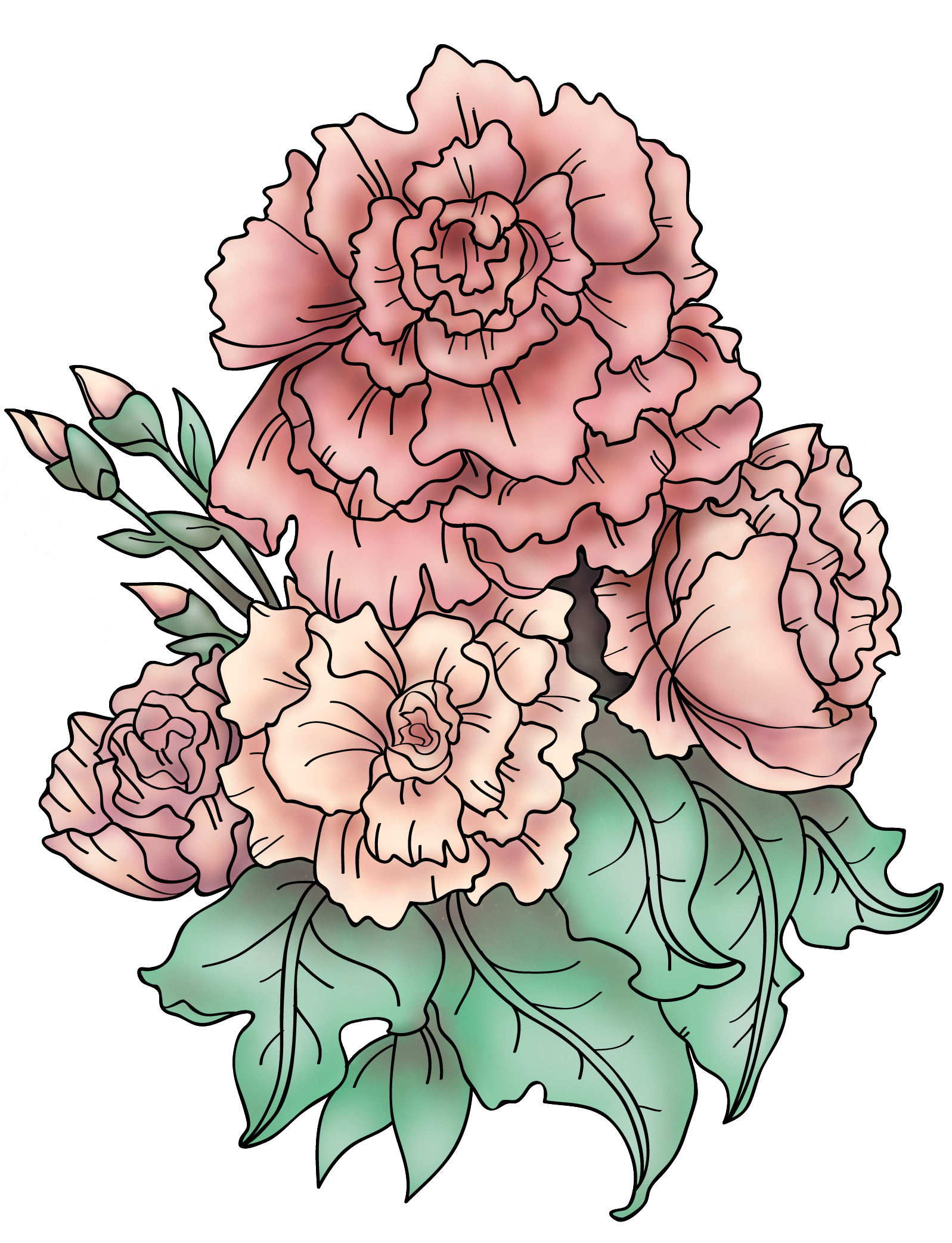 Tattoo Design Based On "still Life Of Carnations" By - Tatuaje Claveles - Free Transparent PNG Clipart Images Download. - Transparent PNG Free Download