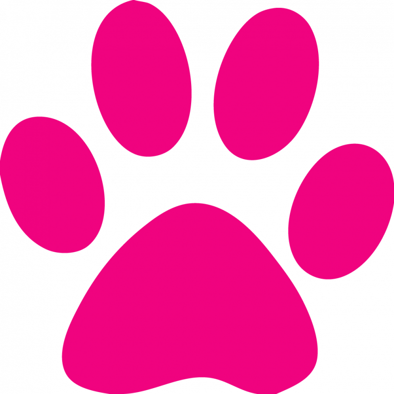 Custom Cat Paw Temporary Tattoos - Paw Print Clip Art - Free Transparent PNG Clipart Images Download. - Transparent PNG Free Download