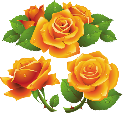 Tattoo Picstattoo Ideasorange Rosesrose Tattoosbeautiful - Yellow Roses Free Vector - Free Transparent PNG Clipart Images Download. - Transparent PNG Free Download