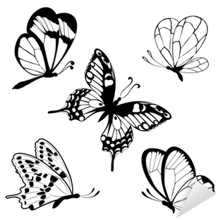 Set Black White Butterflies Of A Tattoo Sticker • Pixers® - Gear New Set Black White Butterflies Of Tattoo Bath - Free Transparent PNG Clipart Images Download. - Transparent PNG Free Download