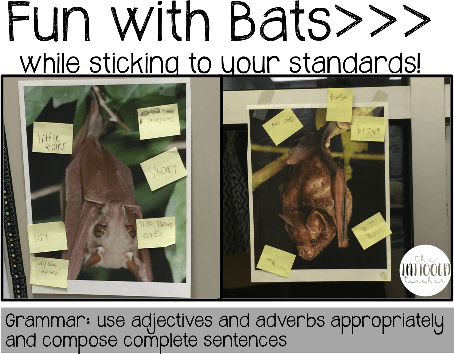 Bat Fun While Sticking To Your Standards Freebies - Carollia Perspicillata - Free Transparent PNG Clipart Images Download. - Transparent PNG Free Download