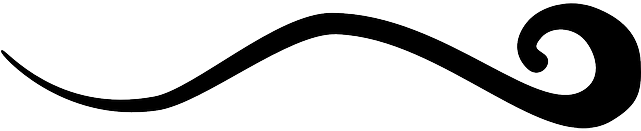 Vine, Wave, Eleven, Tattoo - Curls & Curves Clipart - Free Transparent PNG Clipart Images Download. - Transparent PNG Free Download