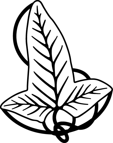 Leaf Of Lorien Wall Sticker 3127 - Lord Of The Rings Leaf - Free Transparent PNG Clipart Images Download. - Transparent PNG Free Download