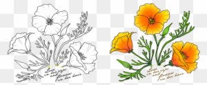 Poppy Tattoo Design By Lacey6682 - Eschscholzia Californica - Free Transparent PNG Clipart Images Download. - Tattoo Transparent PNG Free Download