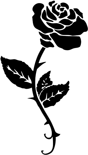 Black Rose Tattoo Png - Beauty And The Beast Rose Stencil - Free Transparent PNG Clipart Images Download. - Transparent PNG Free Download