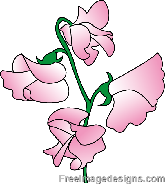 Sweetpea Flowers Image Design Download Free Image Tattoo - Sweet Pea Flower Design - Free Transparent PNG Clipart Images Download. - Transparent PNG Free Download