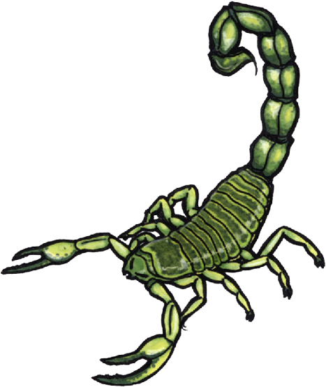 Scorpion Tattoos Clipart Tail - Scorpion - Free Transparent PNG Clipart Images Download. - Transparent PNG Free Download