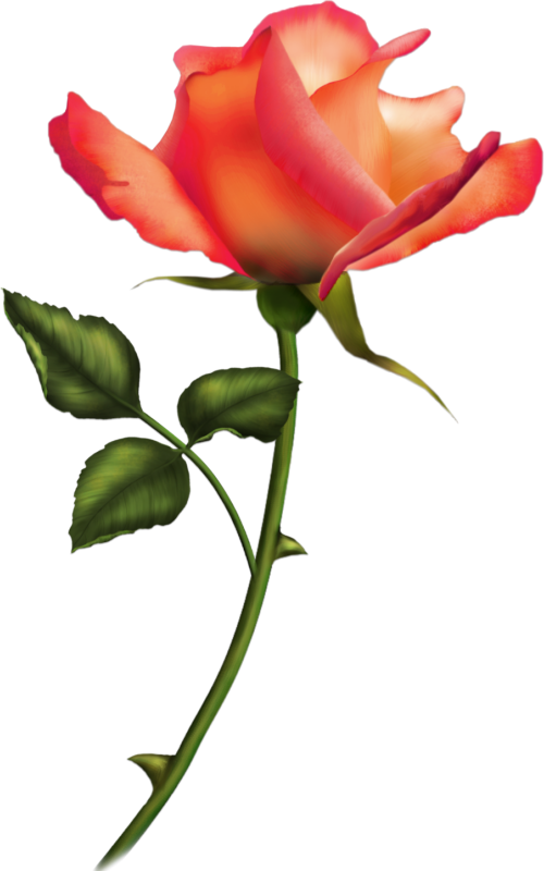 Tattoo Ideas - Romantische Rosen-karte 03 Grußkarte - Free Transparent PNG Clipart Images Download. - Transparent PNG Free Download