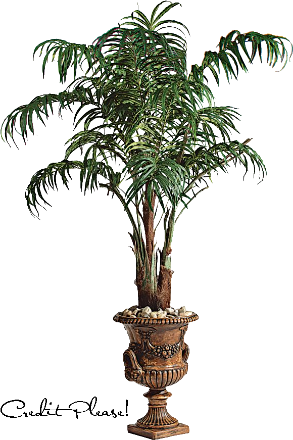 Browsing Tattoo Design On Clipart Library - Png Tree Images With Transparent Background - Free Transparent PNG Clipart Images Download. - Transparent PNG Free Download