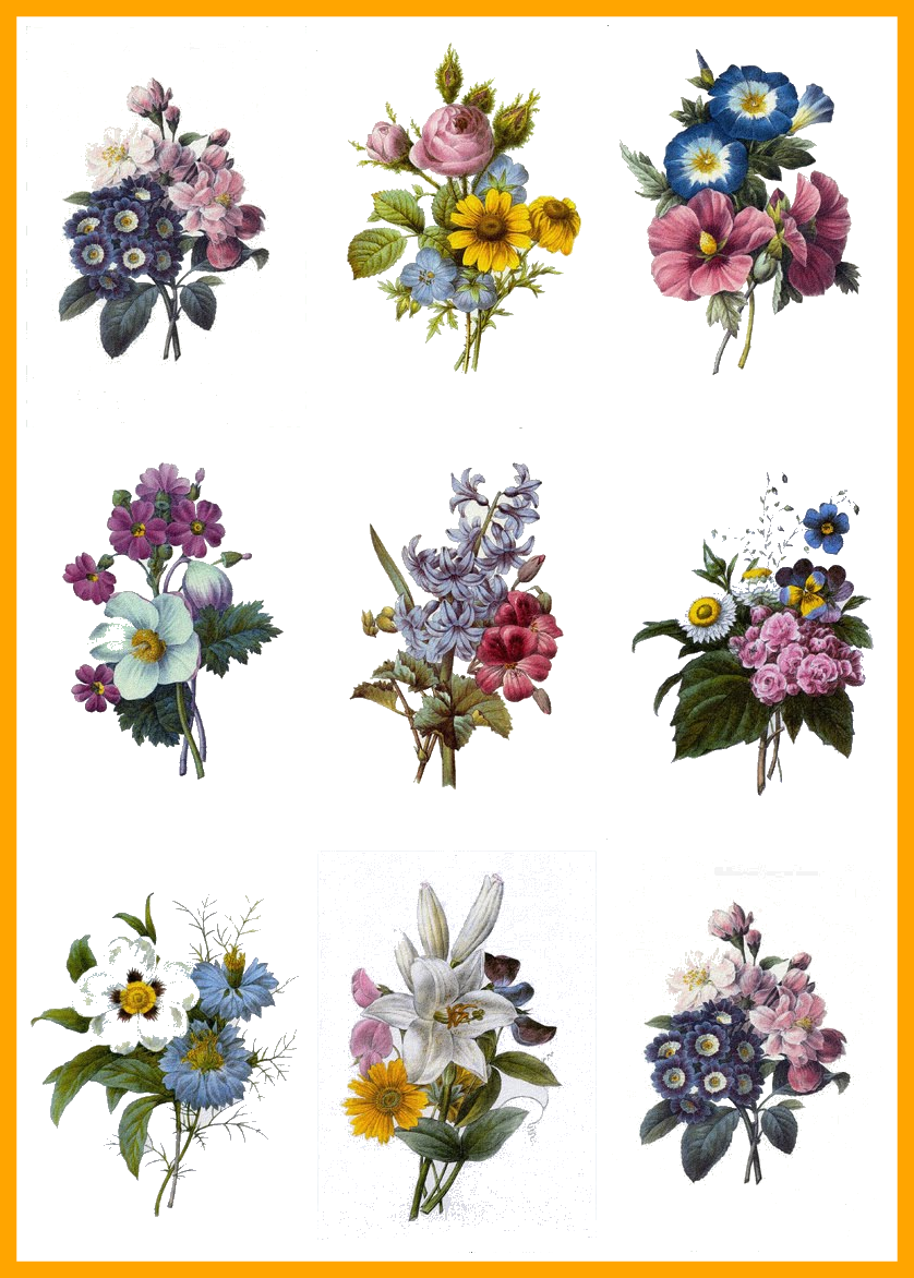 Astonishing Pin By Lindsey Rae On Drawing Tattoo Tatting - Redoute Bouquet Pillow Case - Free Transparent PNG Clipart Images Download. - Transparent PNG Free Download