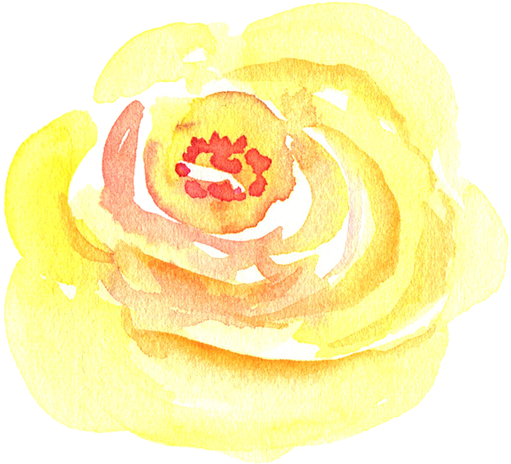 Texas Tattoos Yellow Rose Pics - Garden Roses - Free Transparent PNG Clipart Images Download. - Transparent PNG Free Download
