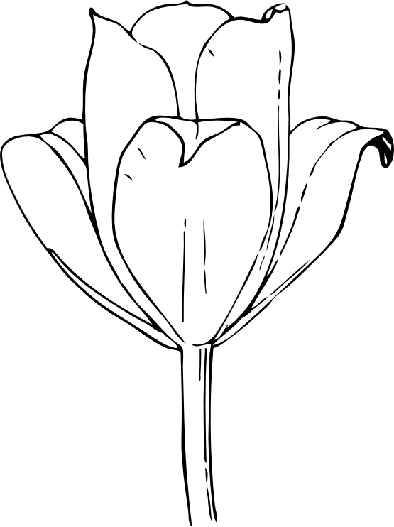 Black White Flower Tattoo - Tulip Flower Clipart - Free Transparent PNG Clipart Images Download. - Transparent PNG Free Download