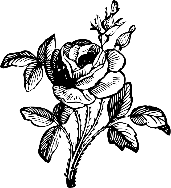 Tribal Tattoo With Rose Clip Art Download - Black And White Flower Png - Free Transparent PNG Clipart Images Download. - Transparent PNG Free Download