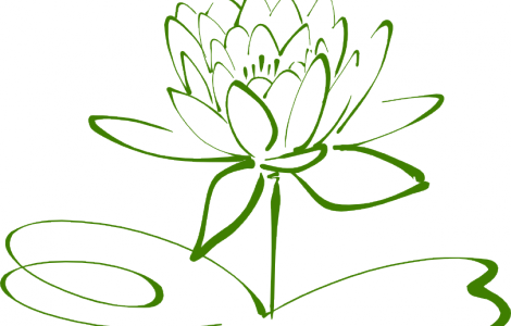 Small Lotus Flower Outline Tattoo - Drawing Black And White Flower Clip Art - Free Transparent PNG Clipart Images Download. - Transparent PNG Free Download