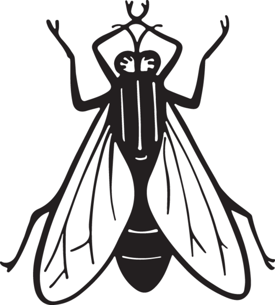 Fly Clipart Insect - Art Print: Pop Ink - Csa Images' Housefly, 12x12in. - Free Transparent PNG Clipart Images Download. - Transparent PNG Free Download