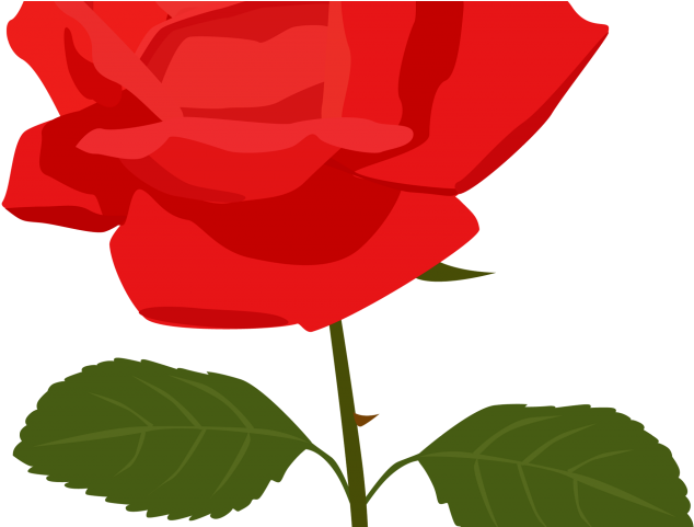 Rose Tattoo Clipart Rose Clip Art - Rose Clipart No Background - Free Transparent PNG Clipart Images Download. - Transparent PNG Free Download