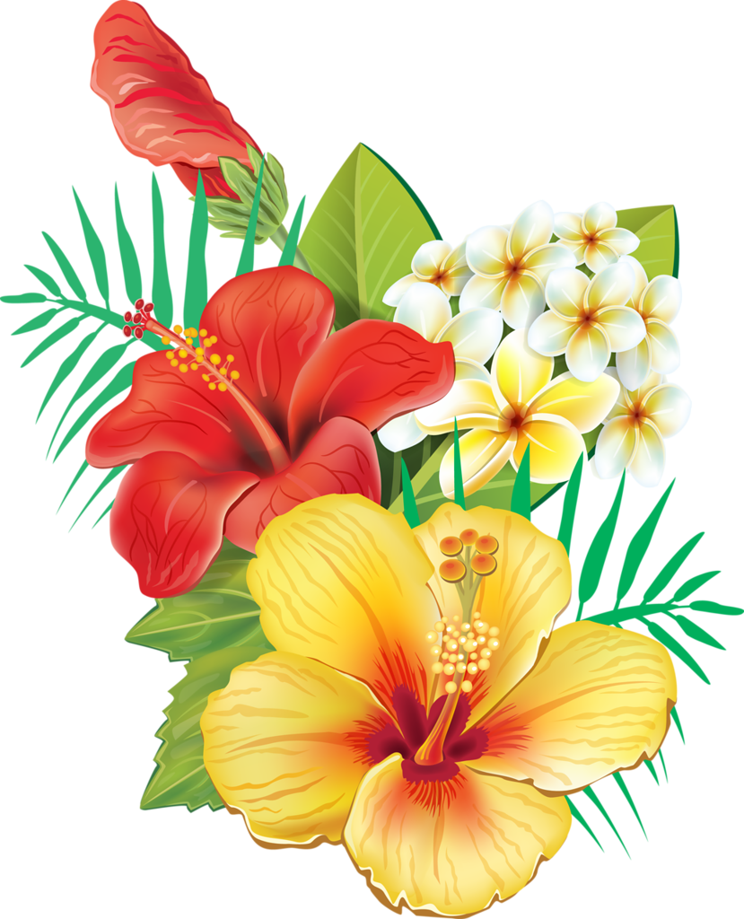 Tropical Hawaiian Flowers, Hibiscus Flowers, Tropical - Tropical Hawaiian Flowers, Hibiscus Flowers, Tropical - Free Transparent PNG Clipart Images Download. - Transparent PNG Free Download
