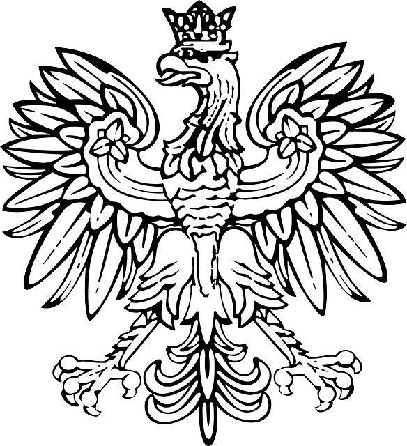 Polski Orzel Moja Polska Pinterest Tattoos And - Polski Orzel Moja Polska Pinterest Tattoos And - Free Transparent PNG Clipart Images Download. - Transparent PNG Free Download