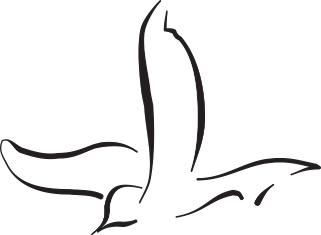 Bird Line Art-next Tattoo Bird Flying, Line Art, Outline, - Bird Line Art-next Tattoo Bird Flying, Line Art, Outline, - Free Transparent PNG Clipart Images Download. - Transparent PNG Free Download