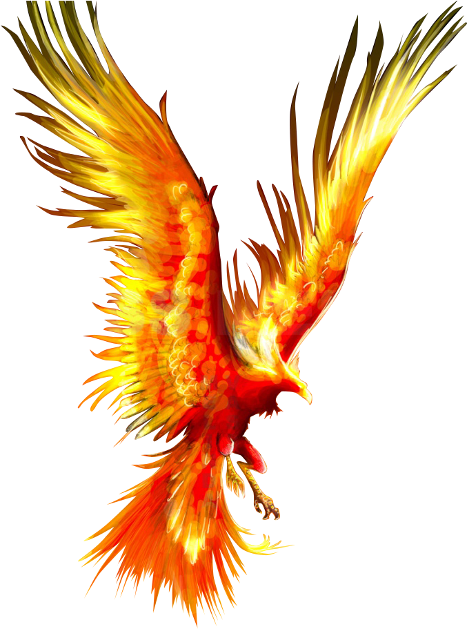 Phoenix Clipart Firebird - Phoenix Bird Transparent Background - Free Transparent PNG Clipart Images Download. - Transparent PNG Free Download