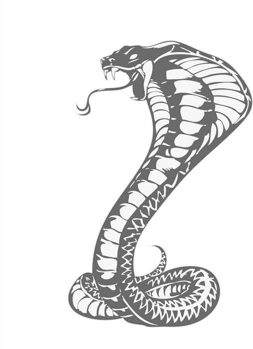 Cobras King Cobra Snakes Tattoo Snake Drawing Clipart - Khon Kaen United F.c. - Free Transparent PNG Clipart Images Download. - Transparent PNG Free Download