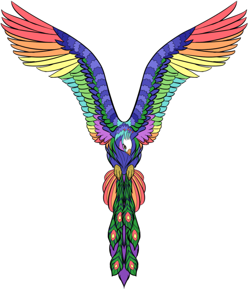 Bird Tattoo Drawing Png - Illustration - Free Transparent PNG Clipart Images Download. - Transparent PNG Free Download