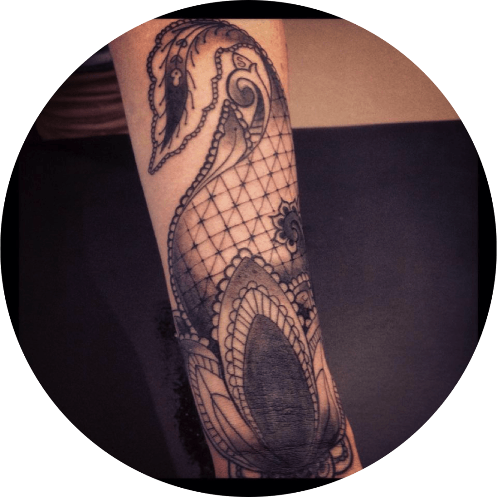 Plume Free Bird - Tattoo, HD Png Download - Transparent PNG Free Download