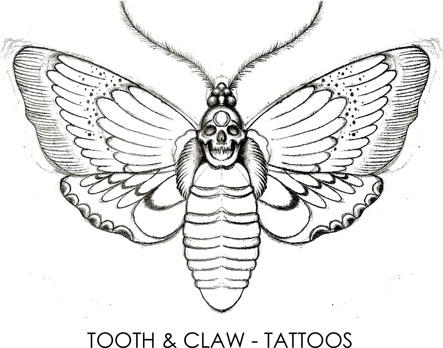 Tooth & Claw Tattoos - Transparent Flower Tattoo, HD Png Download - Transparent PNG Free Download