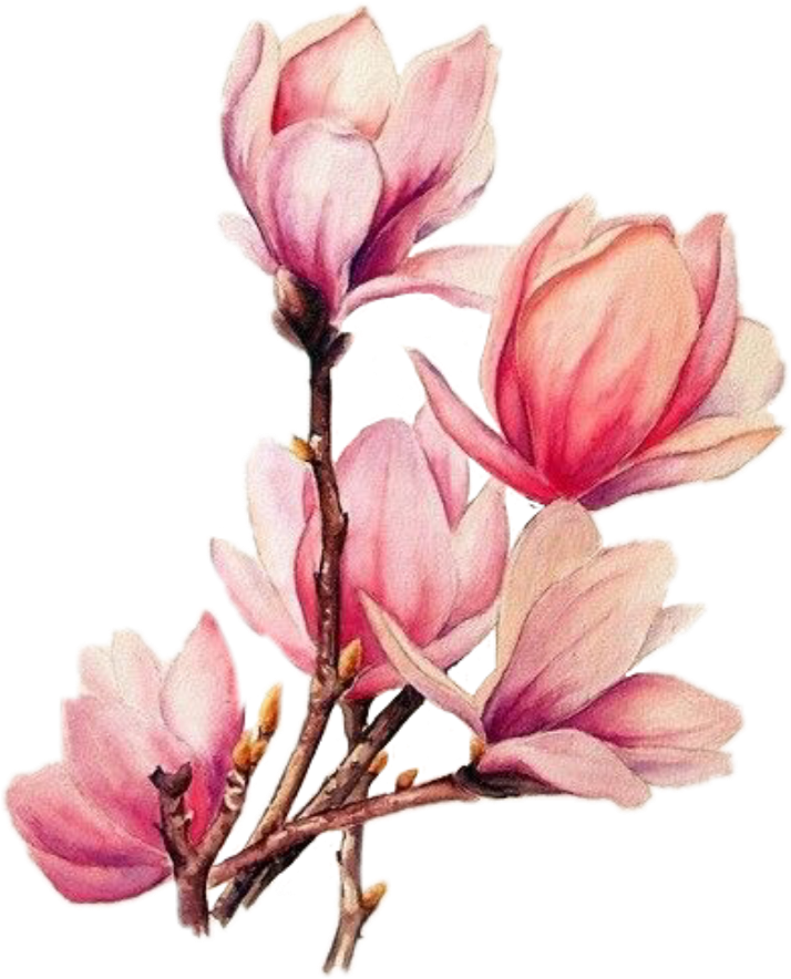 Tattoo Flower Branches Magnolia Watercolour Watercolor - Magnolia Flower Tattoo Design, HD Png Download - Transparent PNG Free Download