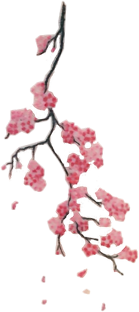 #interesting #art #tattoo #png #people #aesthetic #freetoedit - Cherry Blossom Branch Tattoo, Transparent - Tattoo Transparent PNG Free Download
