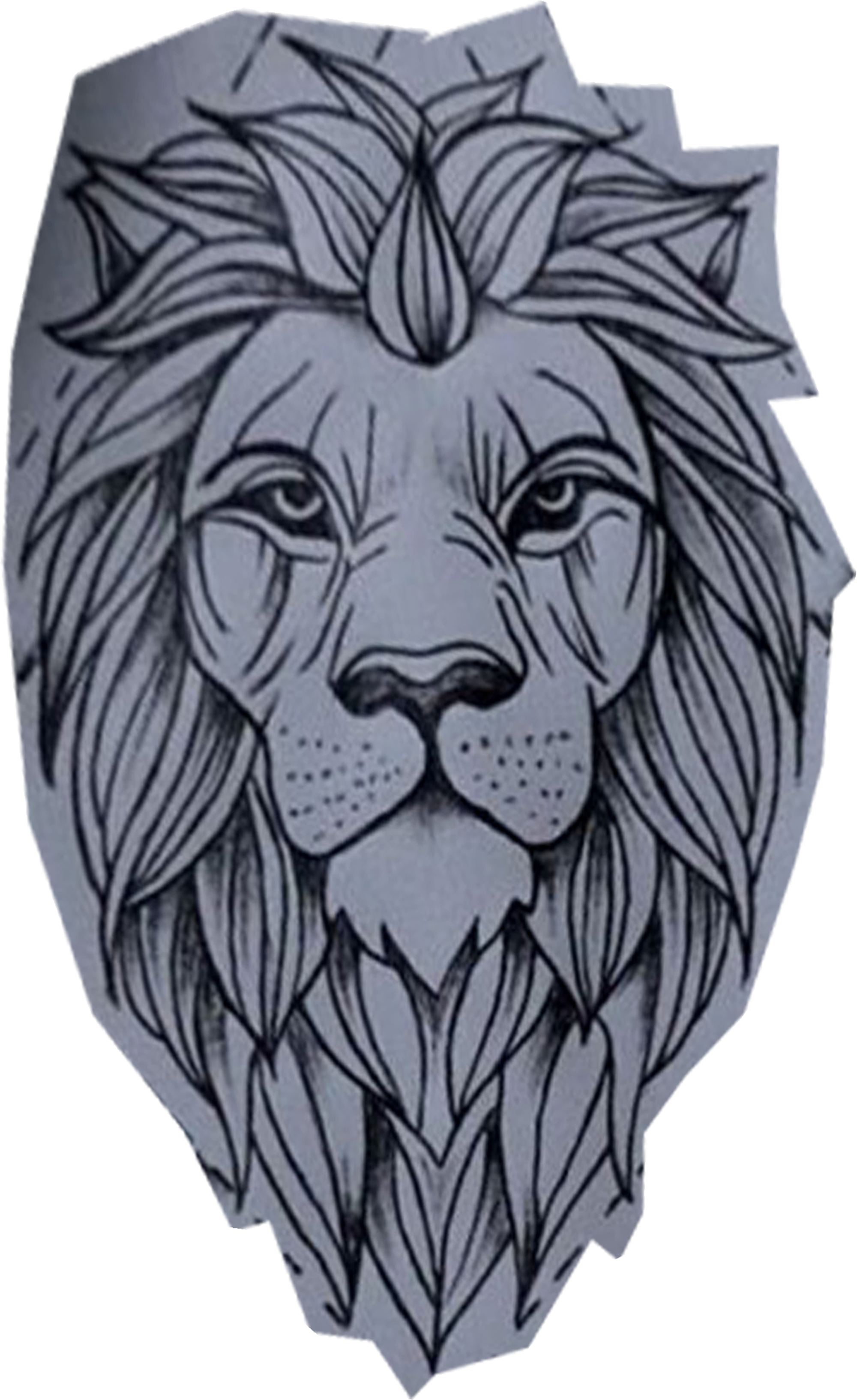 Clip Art Line Club Design Pinterest - Lion Line Tattoo, HD Png Download - Transparent PNG Free Download