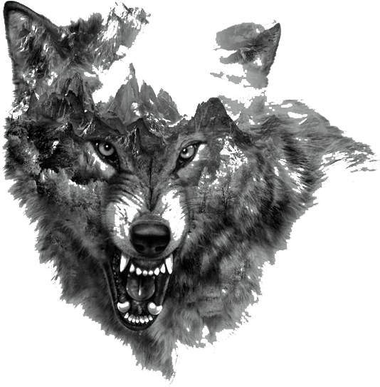 #wolf #tattoo #tattooartist #tattooart #tattos - Growling Wolf Tattoo Designs, HD Png Download - Transparent PNG Free Download