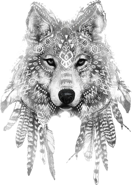 Wolf Tattoo With Feathers, HD Png Download - Transparent PNG Free Download