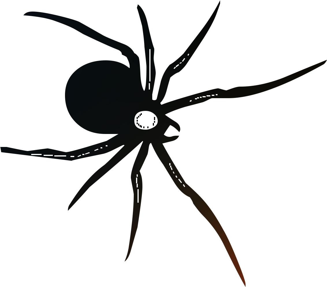 Temporary Tattoos Tatouage Temporaire Aigle Tattoo, HD Png Download - Transparent PNG Free Download