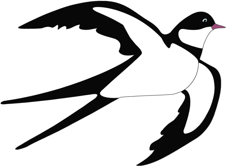 Tree Swallow Bird Clip Art - Swallow Clipart, HD Png Download - Transparent PNG Free Download