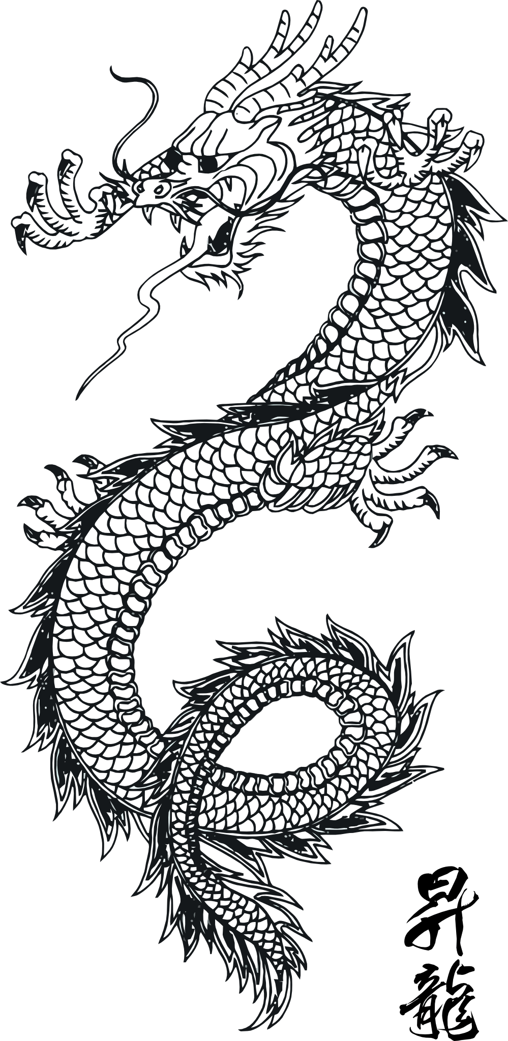 Chinese Dragon Line Art, HD Png Download - Transparent PNG Free Download