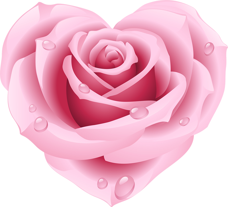 Pink Rose Clipart Free, HD Png Download - Transparent PNG Free Download