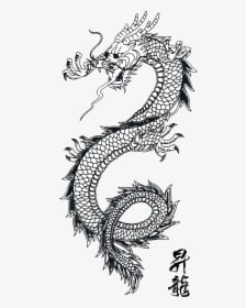 Chinese Dragon Line Art, HD Png Download - Transparent PNG Free Download
