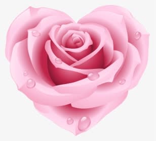 Pink Rose Clipart Free, HD Png Download - Transparent PNG Free Download