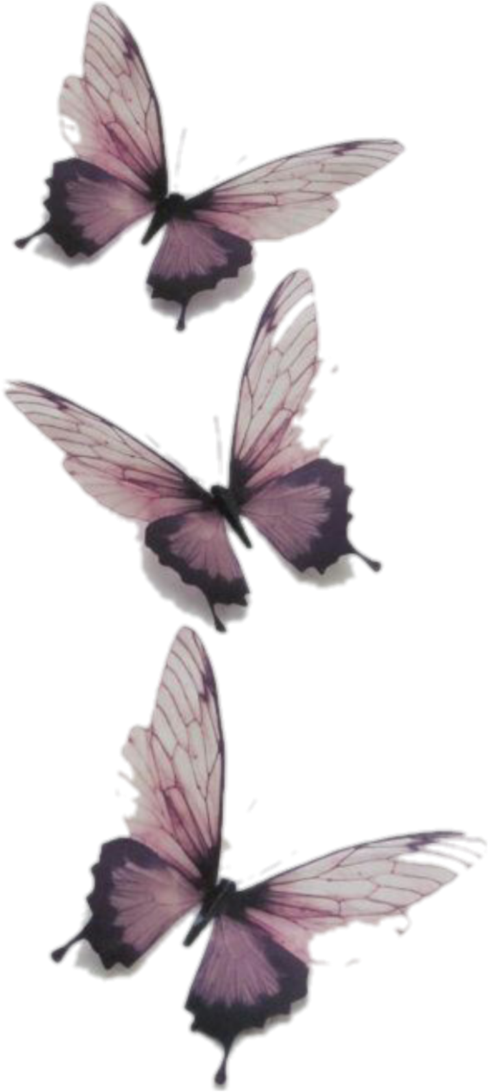 Butterfly Butterflies Vintage Transparent Tumblr Png - Transparent Butterfly, Png Download - Transparent PNG Free Download